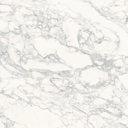 C05 Polished Venato