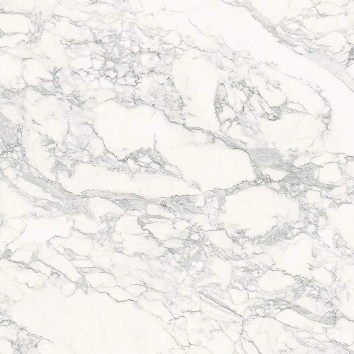 C05 Polished Venato