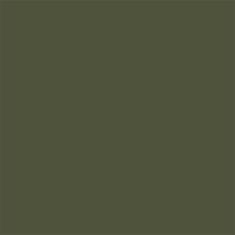 R06_Olive Green