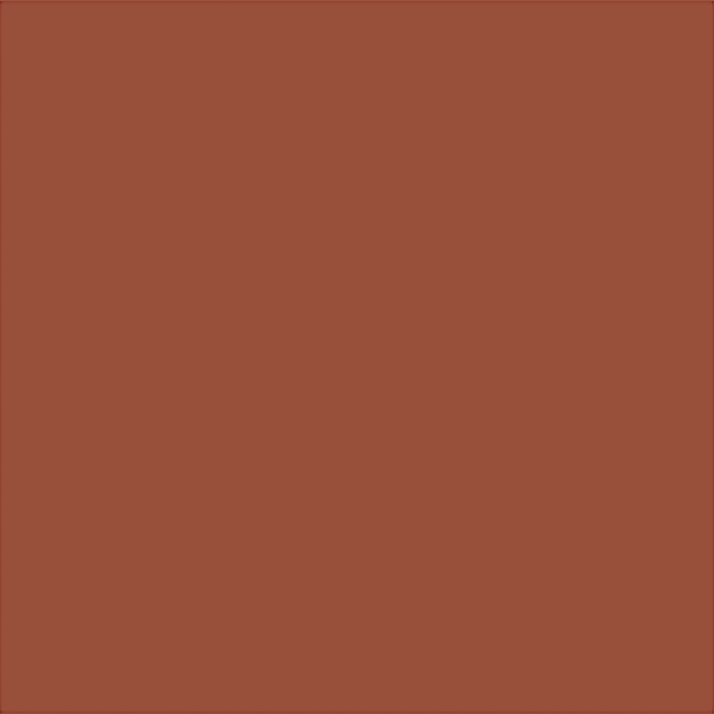 R28_Burnished Clay