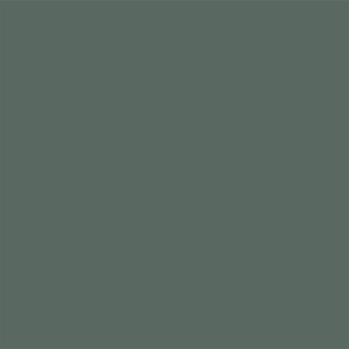 S02_Forest