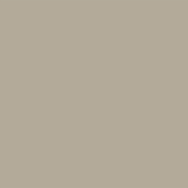 S10_Pebble